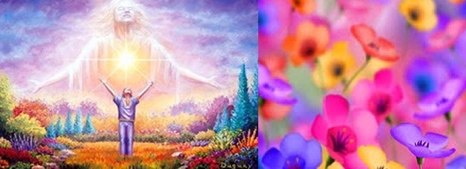 Thank you…Bring me more!