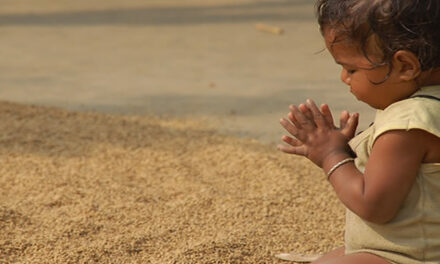 The Precious Gift [Graham Hancock & Joe Rogan]