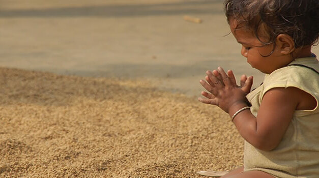 The Transformative Power of Gratitude and Non-Interference