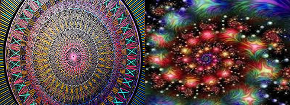 Black Shelving, Dr. Greer