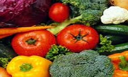 Seizoensgroenten, lekker en gezond