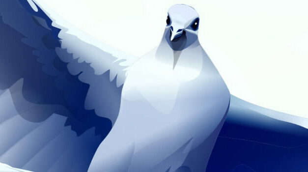 Lichamelijke genezing voor een verlichte geest