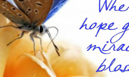 Wonderen in uitvoering