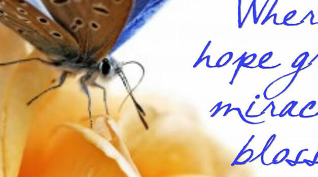 The Girl Who Makes Miracles