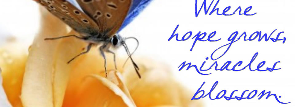 The Girl Who Makes Miracles