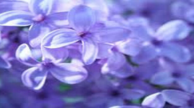 Rahma Hulsman, vrouw met goed hart