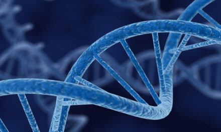 Conscious Agents, Souls, and The Matrix of Existence