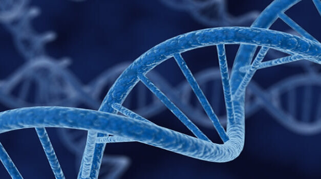 The Galactic History of DNA