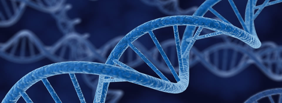 Conscious Agents, Souls, and The Matrix of Existence