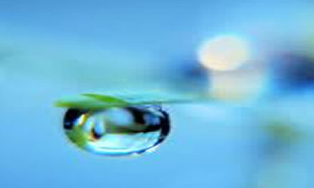 Are You the Ripple or the Ocean?