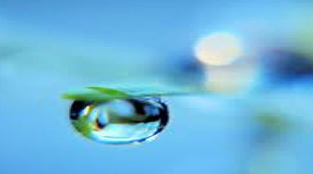 ‘Deze docu veranderde mijn wereldbeeld volledig,’ zegt filmmaker Marijn Poels