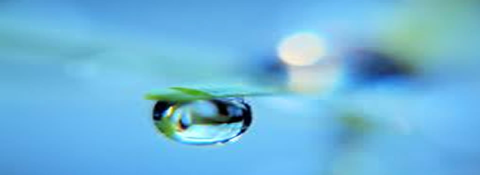 Are You the Ripple or the Ocean?