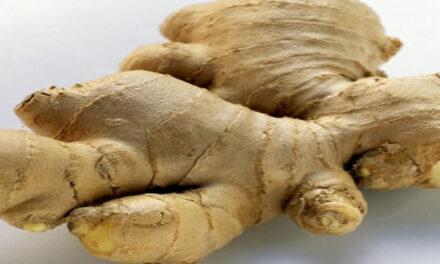 Heb je wel eens aan gember gedacht?