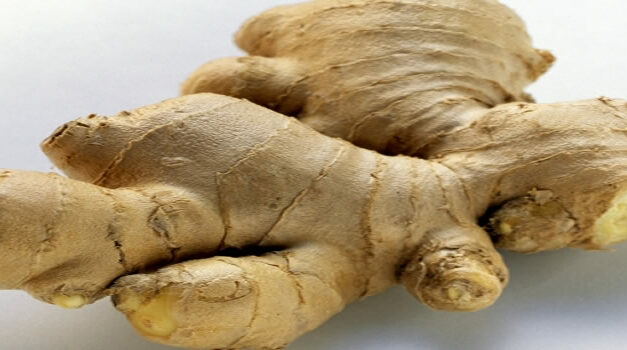 Heb je wel eens aan gember gedacht?