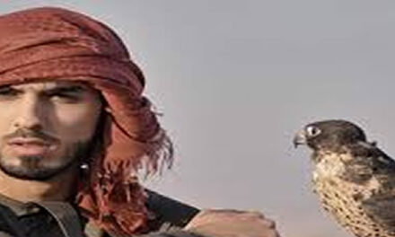 Waarom hebben mannen het gemakkelijker?