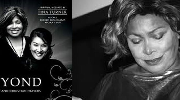 Tina Turner, Beyond (muziek)