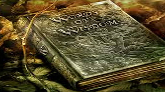 Alan Watts, Words of Wisdom