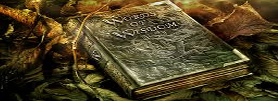 Alan Watts, Words of Wisdom