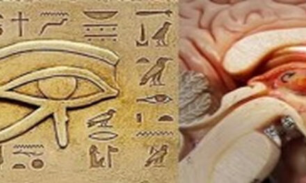 Activatie van de pijnappelklier, alles is mogelijk