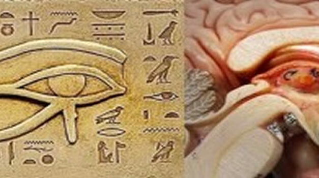 Just in Time – TRANSCEND!