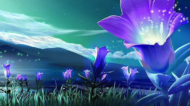 Xavier Rudd at Levitate Music & Arts Festival 2018