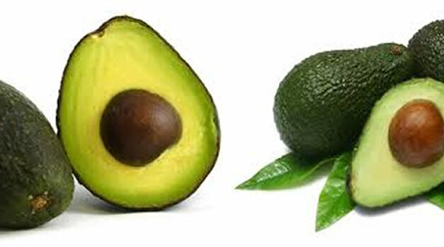 Superfood, heerlijke avocado’s