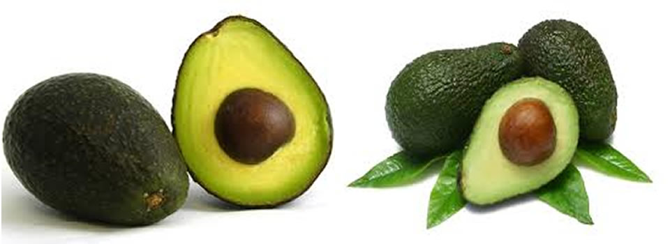 Superfood, heerlijke avocado’s