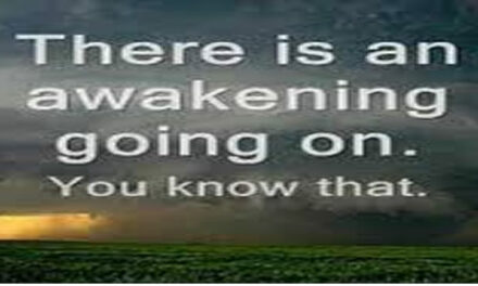 2013 and Beyond: Interview with Franco DeNicola