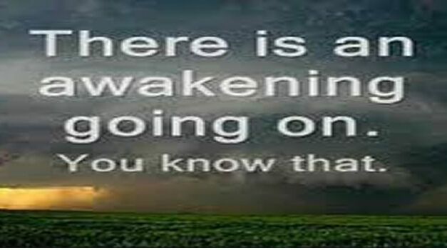 2013 and Beyond: Interview with Franco DeNicola