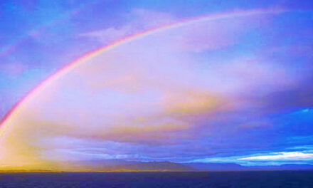 Arcturian Council :Virtual Reality check !!!