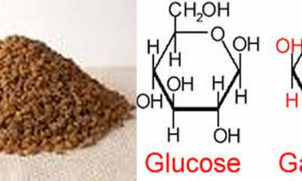 The Mother Of All Antioxidants