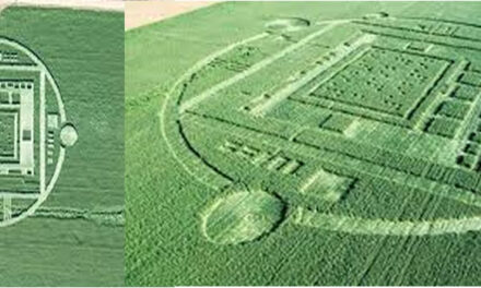 Meer info over de graancirkel in Californie