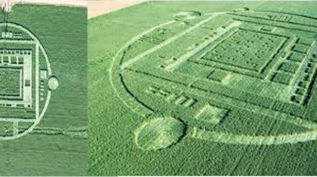 Meer info over de graancirkel in Californie