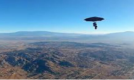 Zorgeloos in het leven…..