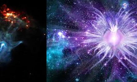 You are the Eternal Universe – Alan Watts