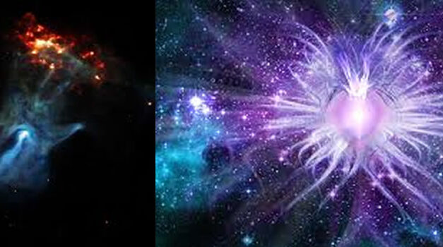 Life in The Universe Documentary