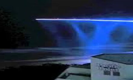 Strange visitors above and on the beach