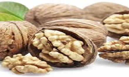 Walnoten, lekker en gezond