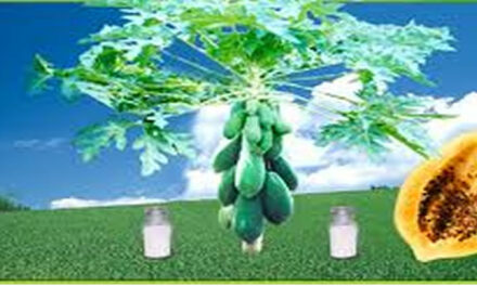 Miljoenen mensen protesteren tegen Monsato