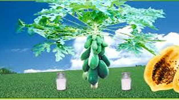 Three year old kid explains why he doesn´t want to eat meat