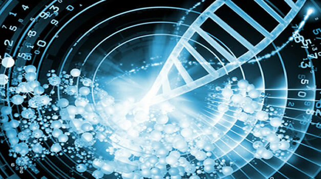 Interview with Brien Foerster — Unravelling the Genetics of Elongated Skulls