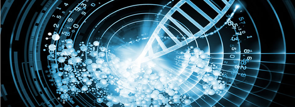 Interview with Brien Foerster — Unravelling the Genetics of Elongated Skulls