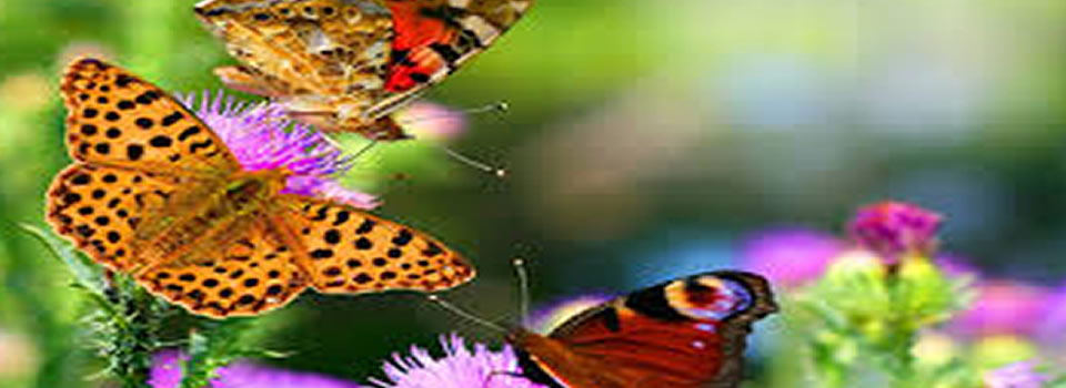 Ontroerend: het moment dat twee blinde zusjes weer kunnen zien