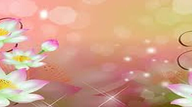 Darci Lynne – The WINNER America’s Got Talent 2017