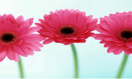 Anyone Can Change the World