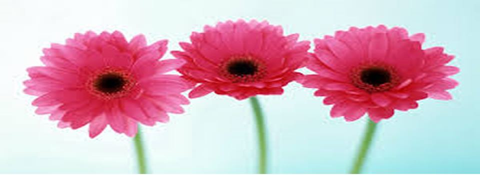 Anyone Can Change the World