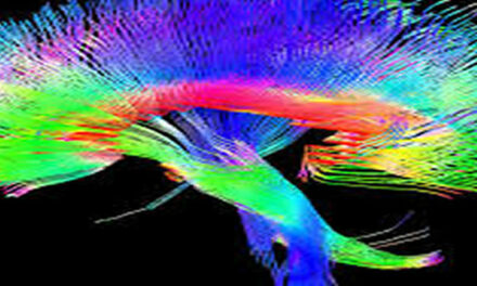 Verband tussen hersen- en darmen aangetoond