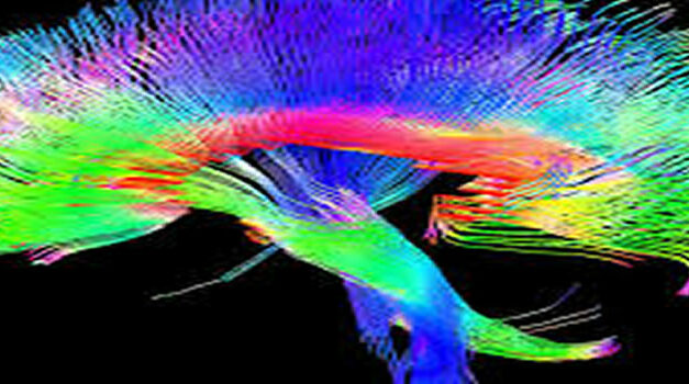 Nieuwe hoop op behandeling Parkinson