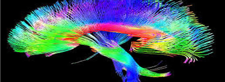 Nieuwe hoop op behandeling Parkinson