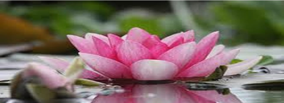 Babysterfte flink afgenomen